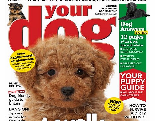 MagazineCloner.com Your Dog Magazine