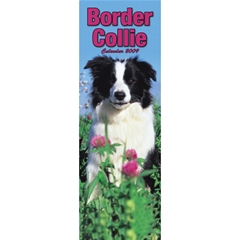 Border Collie Slim Calendar: 2009
