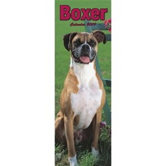 Boxer Slim Calendar: 2009