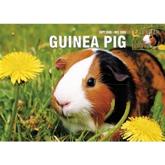 Guinea Pig A4 Calendar: 2009