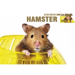 Hamster A4 Calendar: 2009