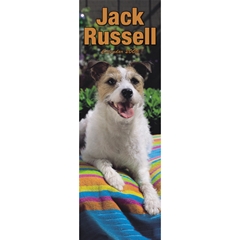 Jack Russell Terrier Slim Calendar: 2009