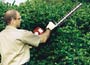 Mantis 16 Double Sided Hedge Trimmer Attachment