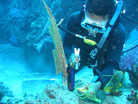 Marine conservation and diving projects in