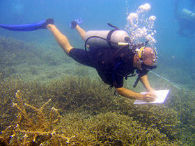 Marine conservation holiday in Thailand