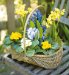 Spring Willow Basket