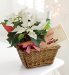 White Poinsettia & White Wine Basket