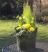 Yellow Spring Planted Tin