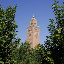 Marrakech History and Souks - Private Full Day