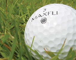 Maxfli Lake Balls