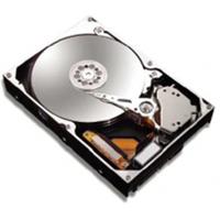 80GB hard disk drive DiamondMax Plus21 SATA II 300 7200rpm 8MB