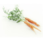 Mechinaud Baby Carrot
