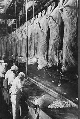 Media Storehouse Canvas Print Of Beef Carcasees