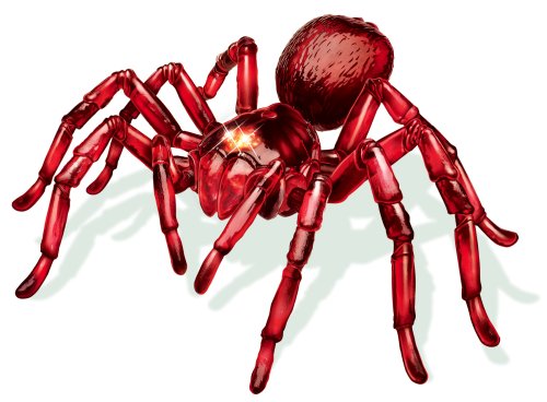 Magna-Bugs - Spider