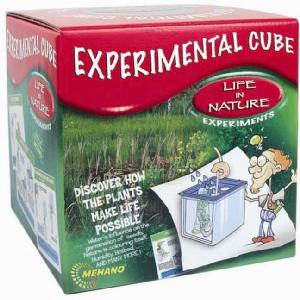 Experimental Cube Life in Nature