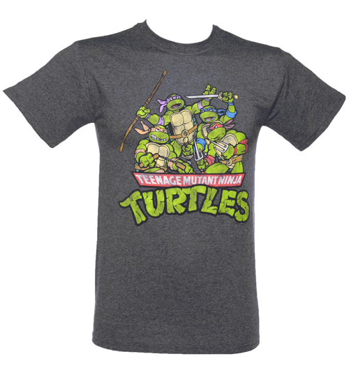 Grey Teenage Mutant Ninja Turtles