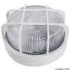 Round Bulkhead With Protective Cage
