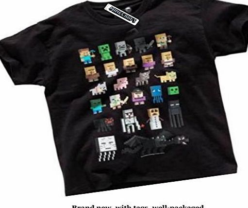 Minecraft Character Sprites Boys Black T-shirt (8-9 Years)