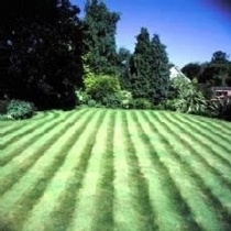 Dlf Perryfields Front Lawn-No Ryegrass 25kg