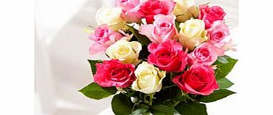 mixed Pink and White Roses