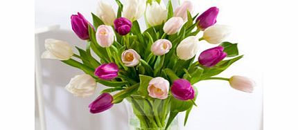mixed Tulips - Flowers by post