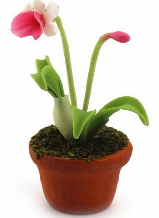 Dolls House Miniature Potted Pink and White Flower