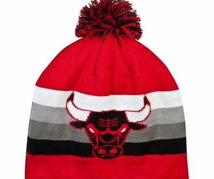 n/a Chicago Bulls Boost Team Long Bobble Hat