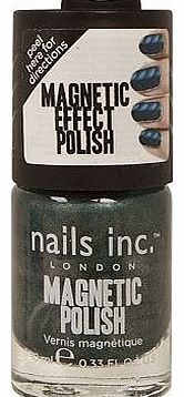 . Whitehall Magnetic Nail Polish 10137582