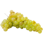 Natoora France Chasselas Grapes