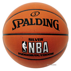 Sliver Indoor/Outdoor Basketball-NBA Silver