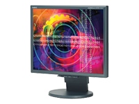 NEC MultiSync LCD2170NX-BK PC Monitor