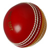 NEWBERY Polysoft Cricket Ball