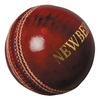 NEWBERY SPS Alum Tanned Cricket Ball