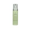 Nexxus Phyto Organics Ambient Volumizing Foam Styler is alcohol free and contains burdock root for b