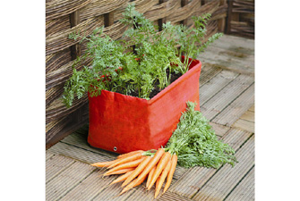 2 Carrot Patio Planters