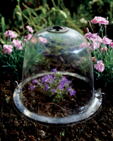 Nigel`s Eco Store Baby Victorian Bell Cloche - pack of 3 ideal