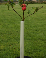 Nigel`s Eco Store Easy-Wrap Tree Guard - protects your young trees