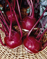 Nigel`s Eco Store Exotic Kohl Rabi Seeds - great for salads or