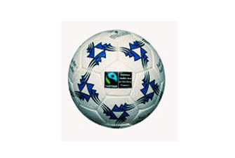 Nigel`s Eco Store FairTrade Team Mini Football