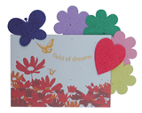 Field of Dreams - a magical gift for any age
