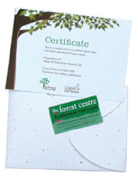 Forest and Wildflower Gift Pack - sponsor a tree