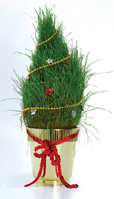 Nigel`s Eco Store Grass Growing Xmas Tree - grow your own space