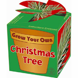 Nigel`s Eco Store Grow Your Own Christmas Tree