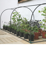 Nigel`s Eco Store Mini Greenhouse - perfect for growing your own
