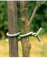 Nigel`s Eco Store Original Soft-Tie - support or secure your plants