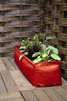 Nigel`s Eco Store Patio and Balcony Raised Bed - grow your own veg