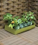 Nigel`s Eco Store Patio Raised Bed - grow your own vegetables on