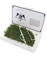Nigel`s Eco Store Post Card Garden Pitch - your very own corner