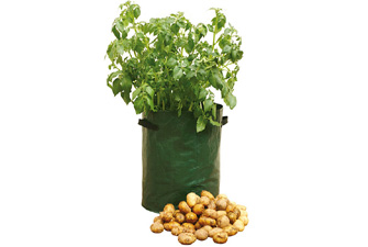Nigel`s Eco Store Potato Patio Planter pack of 3