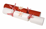 Nigel`s Eco Store Recycled Paper Christmas Crackers (6 box) - make